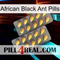 African Black Ant Pills cialis2